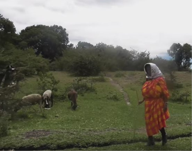 Obiskala je Kenijo in se preizkusila v njihovem načinu življenja